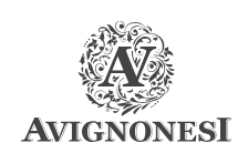 Avignonesi